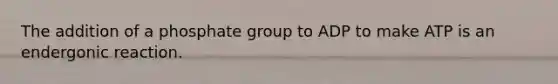 The addition of a phosphate group to ADP to make ATP is an endergonic reaction.