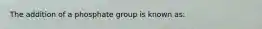 The addition of a phosphate group is known as: