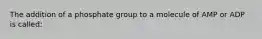 The addition of a phosphate group to a molecule of AMP or ADP is called: