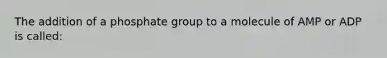 The addition of a phosphate group to a molecule of AMP or ADP is called: