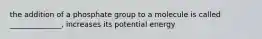 the addition of a phosphate group to a molecule is called ______________, increases its potential energy