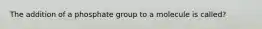 The addition of a phosphate group to a molecule is called?