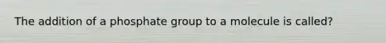 The addition of a phosphate group to a molecule is called?