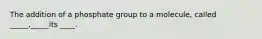 The addition of a phosphate group to a molecule, called _____,_____its ____.