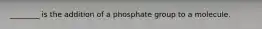 ________ is the addition of a phosphate group to a molecule.