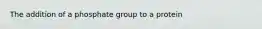 The addition of a phosphate group to a protein