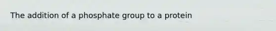 The addition of a phosphate group to a protein