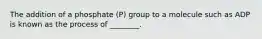 The addition of a phosphate (P) group to a molecule such as ADP is known as the process of ________.