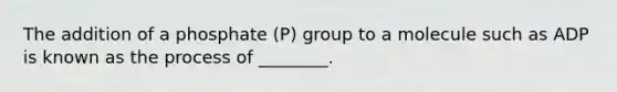 The addition of a phosphate (P) group to a molecule such as ADP is known as the process of ________.