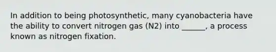 In addition to being photosynthetic, many cyanobacteria have the ability to convert nitrogen gas (N2) into ______, a process known as nitrogen fixation.