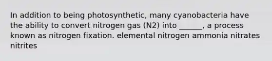 In addition to being photosynthetic, many cyanobacteria have the ability to convert nitrogen gas (N2) into ______, a process known as nitrogen fixation. elemental nitrogen ammonia nitrates nitrites