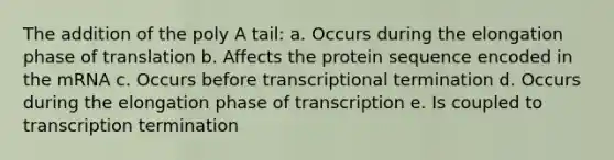 The addition of the poly A tail: a. Occurs during the elongation phase of translation b. Affects the protein sequence encoded in the mRNA c. Occurs before transcriptional termination d. Occurs during the elongation phase of transcription e. Is coupled to transcription termination