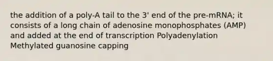 the addition of a poly-A tail to the 3' end of the pre-mRNA; it consists of a long chain of adenosine monophosphates (AMP) and added at the end of transcription Polyadenylation Methylated guanosine capping