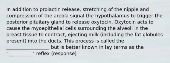 In addition to prolactin release, stretching of the nipple and compression of the areola signal the hypothalamus to trigger the posterior pituitary gland to release oxytocin. Oxytocin acts to cause the myoepithelial cells surrounding the alveoli in the breast tissue to contract, ejecting milk (including the fat globules present) into the ducts. This process is called the __________________ but is better known in lay terms as the "__________" reflex (response)