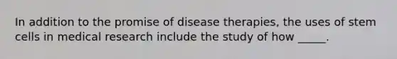 In addition to the promise of disease therapies, the uses of stem cells in medical research include the study of how _____.