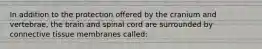 In addition to the protection offered by the cranium and vertebrae, the brain and spinal cord are surrounded by connective tissue membranes called: