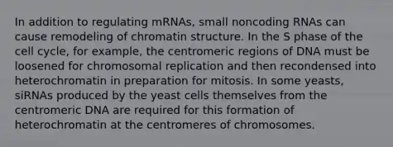 In addition to regulating mRNAs, small noncoding RNAs can cause remodeling of chromatin structure. In the S phase of the cell cycle, for example, the centromeric regions of DNA must be loosened for chromosomal replication and then recondensed into heterochromatin in preparation for mitosis. In some yeasts, siRNAs produced by the yeast cells themselves from the centromeric DNA are required for this formation of heterochromatin at the centromeres of chromosomes.