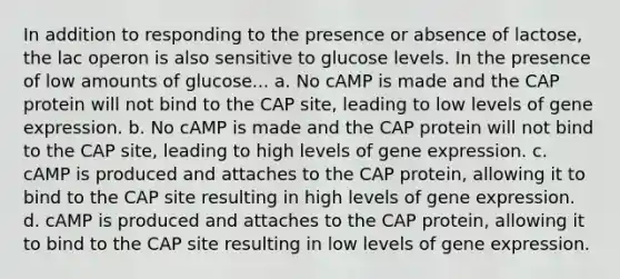 In addition to responding to the presence or absence of lactose, the lac operon is also sensitive to glucose levels. In the presence of low amounts of glucose... a. No cAMP is made and the CAP protein will not bind to the CAP site, leading to low levels of gene expression. b. No cAMP is made and the CAP protein will not bind to the CAP site, leading to high levels of gene expression. c. cAMP is produced and attaches to the CAP protein, allowing it to bind to the CAP site resulting in high levels of gene expression. d. cAMP is produced and attaches to the CAP protein, allowing it to bind to the CAP site resulting in low levels of gene expression.