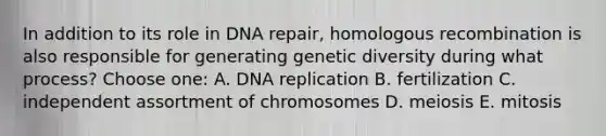 In addition to its role in DNA repair, homologous recombination is also responsible for generating genetic diversity during what process? Choose one: A. DNA replication B. fertilization C. independent assortment of chromosomes D. meiosis E. mitosis