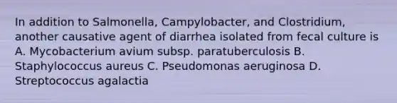 In addition to Salmonella, Campylobacter, and Clostridium, another causative agent of diarrhea isolated from fecal culture is A. Mycobacterium avium subsp. paratuberculosis B. Staphylococcus aureus C. Pseudomonas aeruginosa D. Streptococcus agalactia