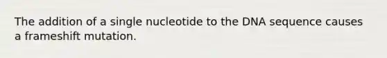 The addition of a single nucleotide to the DNA sequence causes a frameshift mutation.