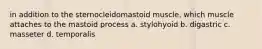 in addition to the sternocleidomastoid muscle, which muscle attaches to the mastoid process a. stylohyoid b. digastric c. masseter d. temporalis