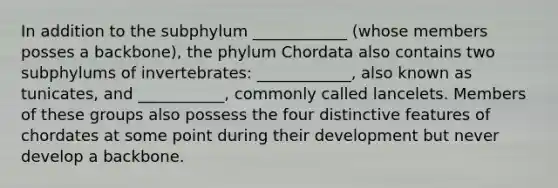 In addition to the subphylum ____________ (whose members posses a backbone), the phylum Chordata also contains two subphylums of invertebrates: ____________, also known as tunicates, and ___________, commonly called lancelets. Members of these groups also possess the four distinctive features of chordates at some point during their development but never develop a backbone.