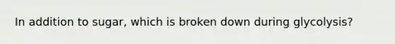 In addition to sugar, which is broken down during glycolysis?