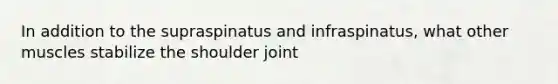 In addition to the supraspinatus and infraspinatus, what other muscles stabilize the shoulder joint