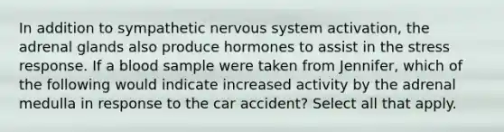 In addition to sympathetic nervous system activation, the adrenal glands also produce hormones to assist in the stress response. If a blood sample were taken from Jennifer, which of the following would indicate increased activity by the adrenal medulla in response to the car accident? Select all that apply.