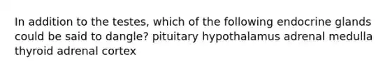 In addition to the testes, which of the following endocrine glands could be said to dangle? pituitary hypothalamus adrenal medulla thyroid adrenal cortex