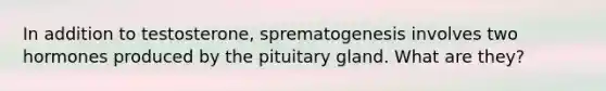 In addition to testosterone, sprematogenesis involves two hormones produced by the pituitary gland. What are they?