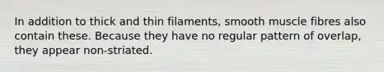 In addition to thick and thin filaments, smooth muscle fibres also contain these. Because they have no regular pattern of overlap, they appear non-striated.