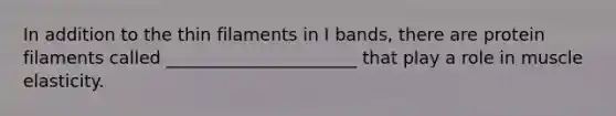 In addition to the thin filaments in I bands, there are protein filaments called ______________________ that play a role in muscle elasticity.