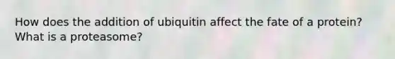 How does the addition of ubiquitin affect the fate of a protein? What is a proteasome?