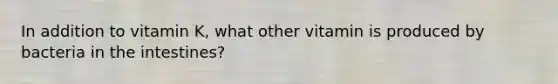 In addition to vitamin K, what other vitamin is produced by bacteria in the intestines?