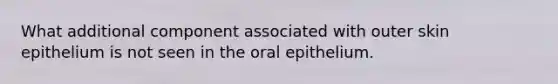 What additional component associated with outer skin epithelium is not seen in the oral epithelium.