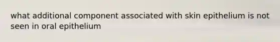 what additional component associated with skin epithelium is not seen in oral epithelium