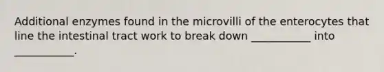 Additional enzymes found in the microvilli of the enterocytes that line the intestinal tract work to break down ___________ into ___________.