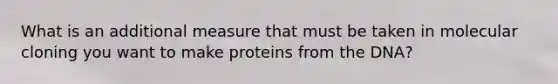 What is an additional measure that must be taken in molecular cloning you want to make proteins from the DNA?