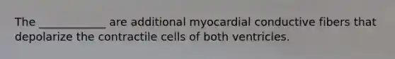 The ____________ are additional myocardial conductive fibers that depolarize the contractile cells of both ventricles.