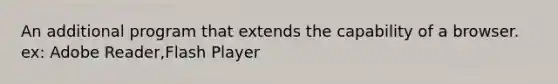 An additional program that extends the capability of a browser. ex: Adobe Reader,Flash Player