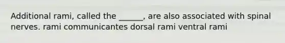 Additional rami, called the ______, are also associated with spinal nerves. rami communicantes dorsal rami ventral rami