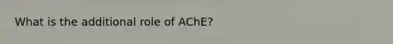 What is the additional role of AChE?