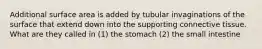 Additional surface area is added by tubular invaginations of the surface that extend down into the supporting connective tissue. What are they called in (1) the stomach (2) the small intestine