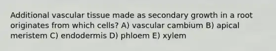 Additional vascular tissue made as secondary growth in a root originates from which cells? A) vascular cambium B) apical meristem C) endodermis D) phloem E) xylem