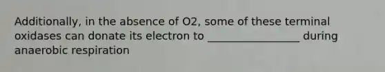 Additionally, in the absence of O2, some of these terminal oxidases can donate its electron to _________________ during anaerobic respiration