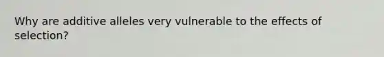 Why are additive alleles very vulnerable to the effects of selection?