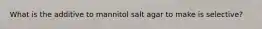 What is the additive to mannitol salt agar to make is selective?