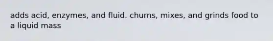 adds acid, enzymes, and fluid. churns, mixes, and grinds food to a liquid mass